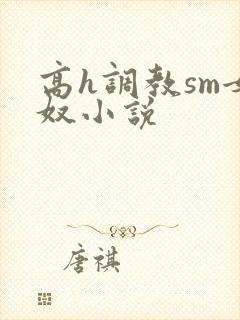 高h调教sm女奴小说封面