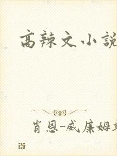 高辣文小说
