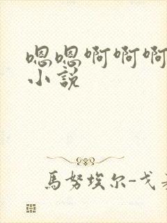 嗯嗯啊啊啊嗯哼小说
