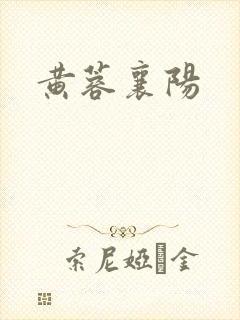 黄蓉襄阳封面