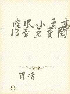 催眠小柔高达第13章免费阅读