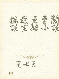 总裁免费阅读小说完结小说