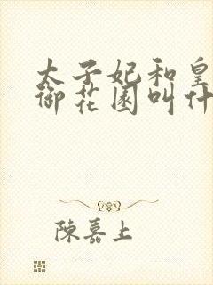 太子妃和皇帝在御花园叫什么小说封面