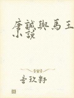 唐诚与马玉婷的小说封面