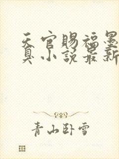 天官赐福墨香铜臭小说最新