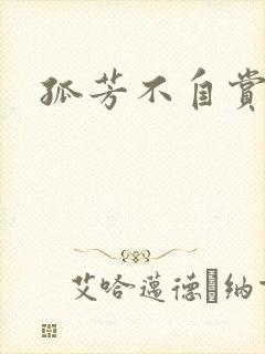 孤芳不自赏小说