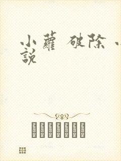 小萝 破除 小说封面