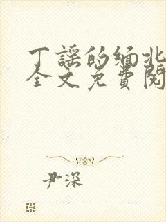 丁谣的缅北小说全文免费阅读