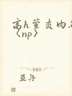 高h荤爽肉欲文〈np〉