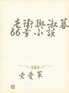 老卫与淑蓉全集66章小说