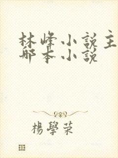 林峰小说主角是哪本小说封面