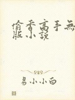 偷香高手无删减版小说