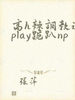 高h辣调教道具play跪趴np