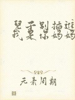 儿子别插进来,我是你妈妈小说