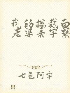 我的总裁白富美老婆秦宇系列小说