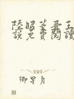 陆昭菱晋王的小说免费阅读