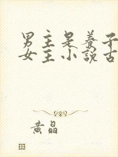 男主是养子爱上女主小说古言