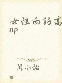女性向的高h文np封面