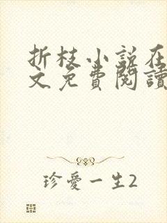 折枝小说在线全文免费阅读无弹窗