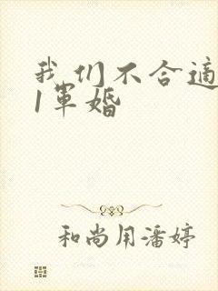 我们不合适1v1军婚封面