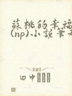 苏桃的幸福生活(np)小说笔趣阁沐沐