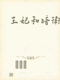 王妃和暗卫野H