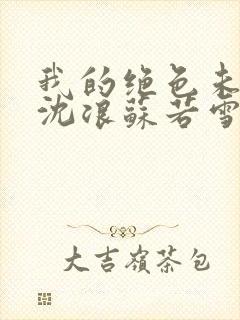 我的绝色未婚妻沈浪苏若雪封面