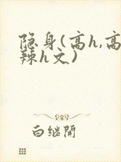隐身(高h,高辣h文)