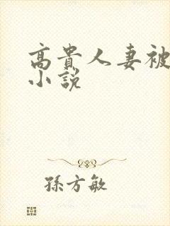 高贵人妻被调教小说