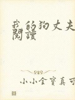 我的狗丈夫全文阅读