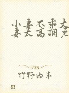 小妻不乖大佬宠妻太高调免费阅读封面