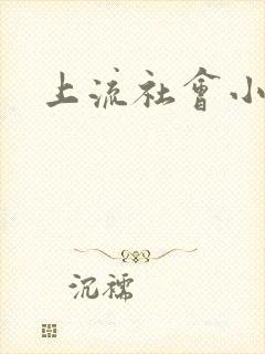 上流社会小说