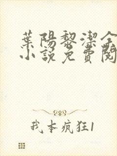 叶阳黎洁余秋水小说免费阅读封面