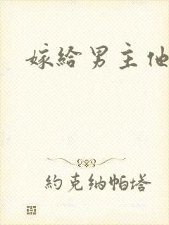 嫁给男主他爸爸封面