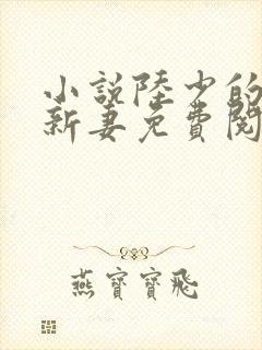小说陆少的暖婚新妻免费阅读全文