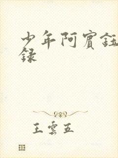 少年阿宾钰慧目录封面