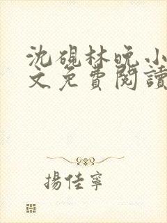 沈砚林晚小说全文免费阅读