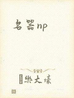 名器np