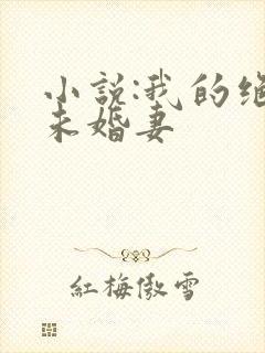 小说:我的绝美未婚妻