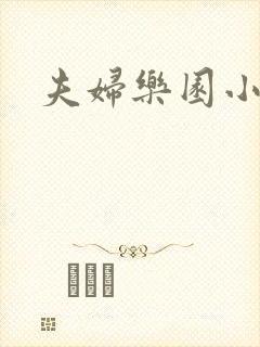 夫妇乐园小说