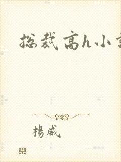 总裁高h小说