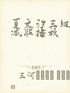 夏文汐三级无删减版播放