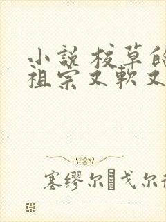 小说 校草的小祖宗又软又甜