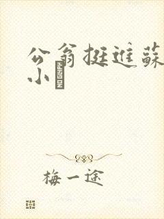 公翁挺进苏玥的小泬封面
