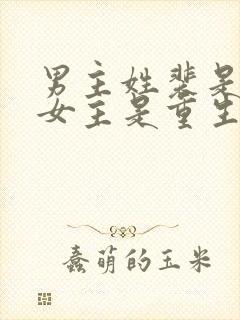 男主姓裴是首辅女主是重生的古言