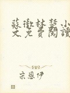 苏彻林楚小说全文免费阅读封面