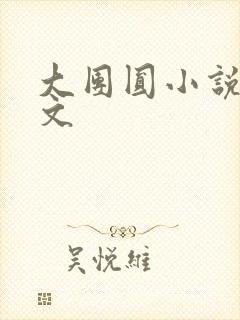 大团圆小说集全文