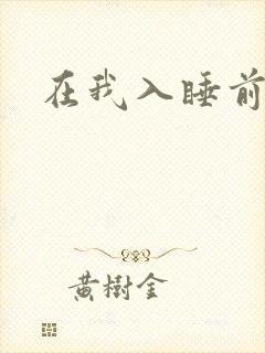 在我入睡前封面