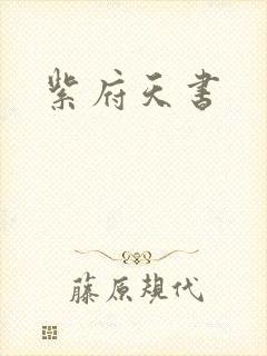 紫府天书