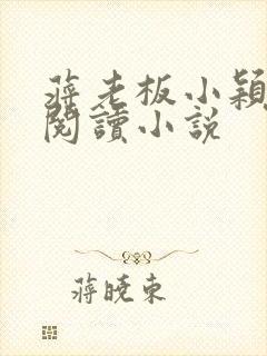 蒋老板小颖在线阅读小说